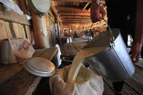 An employee pours milk as cows are milked in the background at the Antsiferovskoye Farm in the village of Antsiferovo, some 415 km (258 mile An employee pours milk as cows are milked in the background at the Antsiferovskoye Farm in the village of Antsiferovo, some 415 km (258 mile