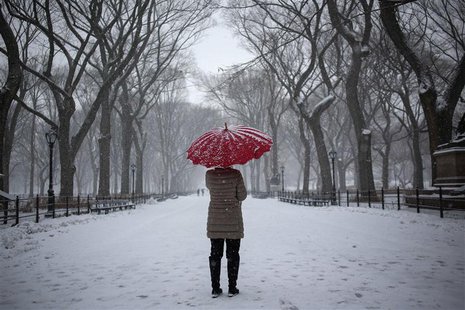 A woman stands with an umbrella during snowfall at Central Park in New York, December 17, 2013. REUTERS/Shannon Stapleton A woman stands with an umbrella during snowfall at Central Park in New York, December 17, 2013. REUTERS/Shannon Stapleton