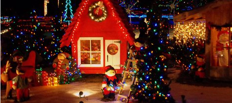 Marshfield's Winter Wonderland Marshfield's Winter Wonderland