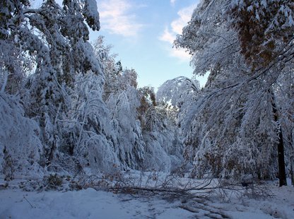 An ice storm that also brought snow knocked out power to thousands across west Michigan around Christmas. An ice storm that also brought snow knocked out power to thousands across west Michigan around Christmas.