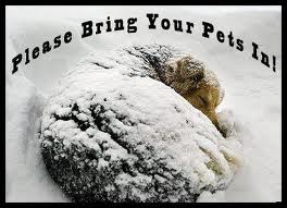Bring your pets in during extreme winter weather Bring your pets in during extreme winter weather