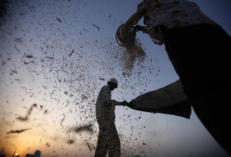 Labourers sift harvested wheat in a field on the outskirts of the western Indian city of Ahmedabad March 14, 2013. REUTERS/Amit Dave Labourers sift harvested wheat in a field on the outskirts of the western Indian city of Ahmedabad March 14, 2013. REUTERS/Amit Dave