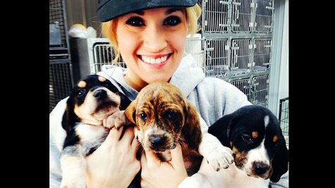 Image courtesy of Instagram.com/CarrieUnderwood (via ABC News Radio) Image courtesy of Instagram.com/CarrieUnderwood (via ABC News Radio)