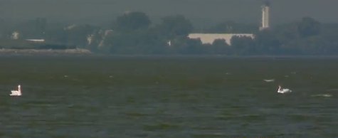 Bay of Green Bay (Photo from: YouTube) Bay of Green Bay (Photo from: YouTube)