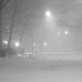 Blizzard Blizzard
