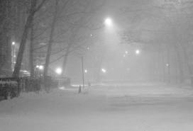 Blizzard Blizzard