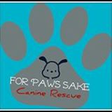 For Paws Sake Canine Rescue For Paws Sake Canine Rescue