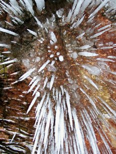 Icicles will form in sea caves the same way stalactites form in other caves. (Photo from: U.S. National Park Service) Icicles will form in sea caves the same way stalactites form in other caves. (Photo from: U.S. National Park Service)