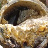 pipe filled with grease pipe filled with grease