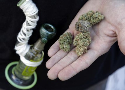 An attendee holds out several marijuana buds at the High Times U.S. Cannabis Cup in Seattle, Washington September 8, 2013. REUTERS/Jason Red An attendee holds out several marijuana buds at the High Times U.S. Cannabis Cup in Seattle, Washington September 8, 2013. REUTERS/Jason Red