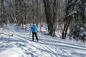 Cross Country Skiing Cross Country Skiing