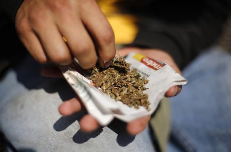 A man shreds marijuana during a rally to hand out information and collect signatures for marijuana legalization outside the Senate building A man shreds marijuana during a rally to hand out information and collect signatures for marijuana legalization outside the Senate building