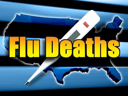 Flu Deaths Flu Deaths