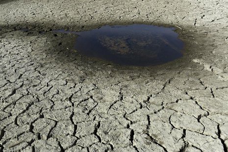A pool of water is pictured on the bottom of the Almaden Reservoir near San Jose, California January 21, 2014. REUTERS/Robert Galbraith A pool of water is pictured on the bottom of the Almaden Reservoir near San Jose, California January 21, 2014. REUTERS/Robert Galbraith