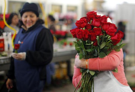 A worker carries an armload of red roses at Winston Flowers in Boston, Massachusetts February 13, 2013, the day before Valentine's Day. Acco A worker carries an armload of red roses at Winston Flowers in Boston, Massachusetts February 13, 2013, the day before Valentine's Day. Acco