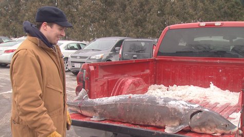Green Bay's Lucas Schneider and the sturgeon he speared on Saturday, Feburary 8th, 2014. (Photo from: FOX 11) Green Bay's Lucas Schneider and the sturgeon he speared on Saturday, Feburary 8th, 2014. (Photo from: FOX 11)