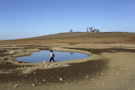 A visitor walks near the receding waters at Folsom Lake, which is 17 percent of its capacity, in Folsom, California January 22, 2014. REUTER A visitor walks near the receding waters at Folsom Lake, which is 17 percent of its capacity, in Folsom, California January 22, 2014. REUTER