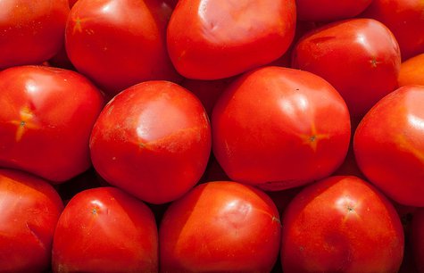 Tomatoes Tomatoes