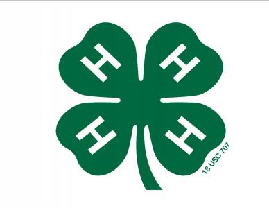 4H 4H