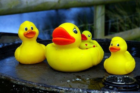 Rubber ducks (via Wikicommons.com) Rubber ducks (via Wikicommons.com)