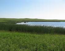 Prairie pothole Prairie pothole