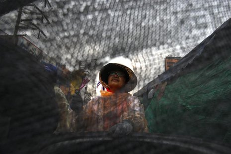 An anti-government protester sits behind a barricade near Government Complex in Bangkok February 15, 2014. REUTERS/Athit Perawongmetha An anti-government protester sits behind a barricade near Government Complex in Bangkok February 15, 2014. REUTERS/Athit Perawongmetha