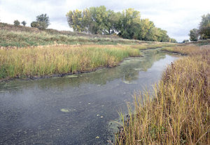 Bois de Sioux River Bois de Sioux River