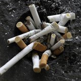 Cigarette butts in an ashtray in Los Angeles, California, May 31, 2012. REUTERS/Jonathan Alcorn Cigarette butts in an ashtray in Los Angeles, California, May 31, 2012. REUTERS/Jonathan Alcorn