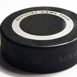 A hockey puck. A hockey puck.