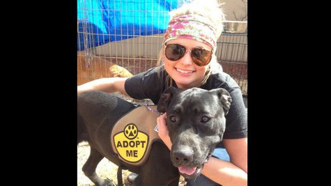 Image courtesy of Miranda Lambert via Twitter (via ABC News Radio) Image courtesy of Miranda Lambert via Twitter (via ABC News Radio)