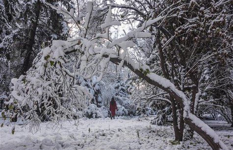 A woman walks across a snow-covered park in Almaty November 21, 2013. REUTERS/Shamil Zhumatov A woman walks across a snow-covered park in Almaty November 21, 2013. REUTERS/Shamil Zhumatov