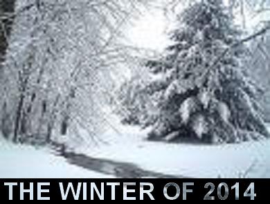 Its been the coldest and snowiest winter in decades. Its been the coldest and snowiest winter in decades.