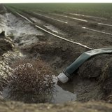 A tumbleweed is seen at an irrigation channel on a farm near Cantua Creek, California February 14, 2014. REUTERS/Robert Galbraith A tumbleweed is seen at an irrigation channel on a farm near Cantua Creek, California February 14, 2014. REUTERS/Robert Galbraith