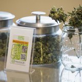 Jars of the marijuana strain called "Beast Mode OG", named after NFL player Marshawn "Beast Mode" Lynch of the Seattle Seahawks, are picture Jars of the marijuana strain called "Beast Mode OG", named after NFL player Marshawn "Beast Mode" Lynch of the Seattle Seahawks, are picture