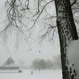 The U.S. Marine Corps War Memorial (L) is seen during blizzard conditions in Arlington, Virginia during a snow storm in the Washington metro area March 3, 2014. The U.S. Marine Corps War Memorial (L) is seen during blizzard conditions in Arlington, Virginia during a snow storm in the Washington metro area March 3, 2014.