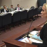 Florida state representative Katie Edwards (D), speaks to the House Criminal Justice Committee in support of a bill to legalize the use of a Florida state representative Katie Edwards (D), speaks to the House Criminal Justice Committee in support of a bill to legalize the use of a