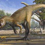 A Torvosaurus gurneyi dinosaur is seen in an undated artist's rendering released March 5, 2014. REUTERS/Sergey Krasovskiy/Handout via Reuter A Torvosaurus gurneyi dinosaur is seen in an undated artist's rendering released March 5, 2014. REUTERS/Sergey Krasovskiy/Handout via Reuter
