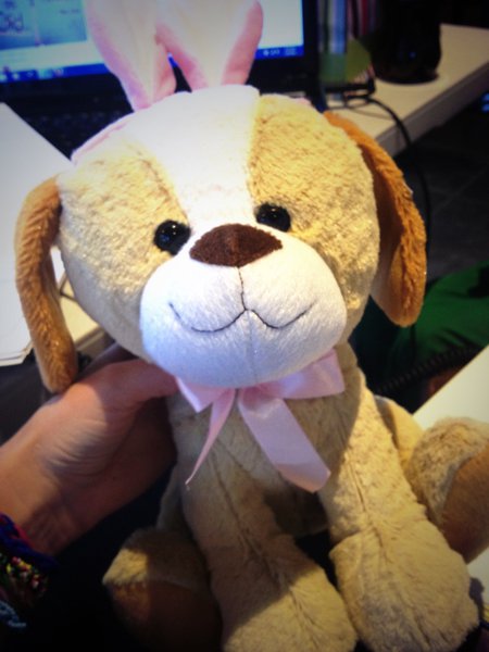Jess Kelley's gift from Valentino