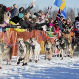 Last year's second place winner Aliy Zirkle greets fans out of the start gate at the official restart of the Iditarod dog sled race in Willo Last year's second place winner Aliy Zirkle greets fans out of the start gate at the official restart of the Iditarod dog sled race in Willo