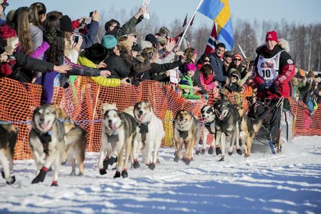 Last year's second place winner Aliy Zirkle greets fans out of the start gate at the official restart of the Iditarod dog sled race in Willo Last year's second place winner Aliy Zirkle greets fans out of the start gate at the official restart of the Iditarod dog sled race in Willo
