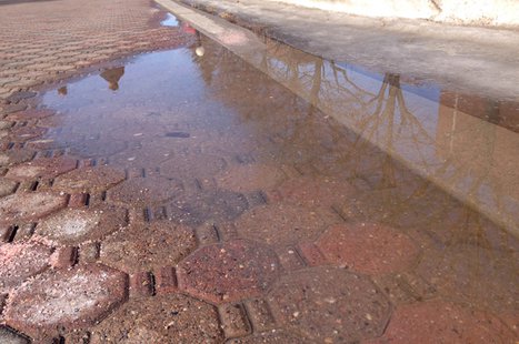 Melting snow forms a puddle on the campus of St. Norbert College in De Pere, March 10, 2014. (Photo from: FOX 11). Melting snow forms a puddle on the campus of St. Norbert College in De Pere, March 10, 2014. (Photo from: FOX 11).