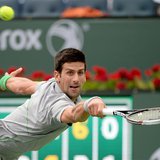 Mar 11, 2014; Indian Wells, CA, USA; Alejandro Gonzalez (COL) during his match against Novak Djokovic (SRB) in the BNP Paribas Open at the I Mar 11, 2014; Indian Wells, CA, USA; Alejandro Gonzalez (COL) during his match against Novak Djokovic (SRB) in the BNP Paribas Open at the I