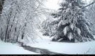 Late winter storm brings more snow. Late winter storm brings more snow.