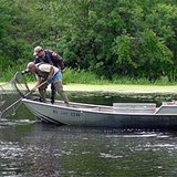 OMB restore funding sequestered from the Wildlife Restoration and the Sport Fish Restoration & Boating Safety Trust Funds. (gfp.sd.gov ) OMB restore funding sequestered from the Wildlife Restoration and the Sport Fish Restoration & Boating Safety Trust Funds. (gfp.sd.gov )