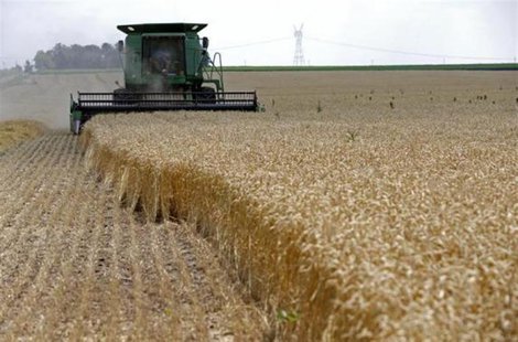 A combine drives over stalks of soft red winter wheat during the harvest on a farm in Dixon, Illinois, July 16, 2013. REUTERS/Jim Young A combine drives over stalks of soft red winter wheat during the harvest on a farm in Dixon, Illinois, July 16, 2013. REUTERS/Jim Young
