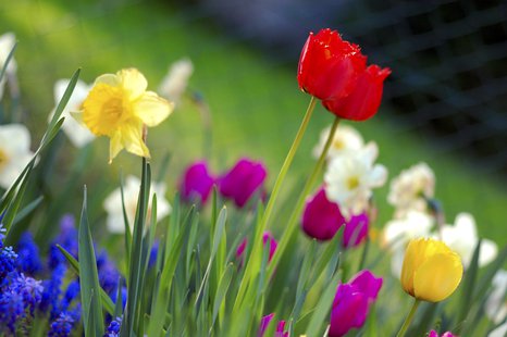 This is what spring is supposed to look like. This is what spring is supposed to look like.