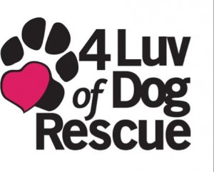4 Luv of Dog 4 Luv of Dog