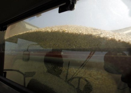 Soybeans are seen at the back of a harvester at a field in the city of Chacabuco April 24, 2013. REUTERS/Enrique Marcarian Soybeans are seen at the back of a harvester at a field in the city of Chacabuco April 24, 2013. REUTERS/Enrique Marcarian