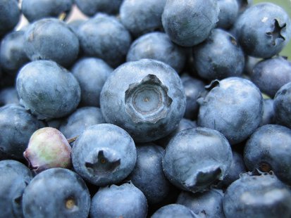 Some blueberries. Some blueberries.