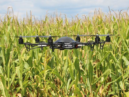drone in corn field drone in corn field